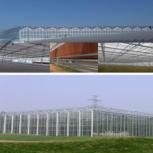开云app:三十八团蔬乐园温室大棚建设项目加紧施工