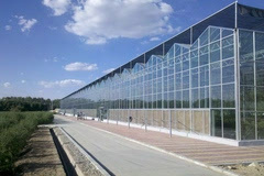 开云app:玻璃大棚温室钢化中空玻璃玻璃温室大棚承建